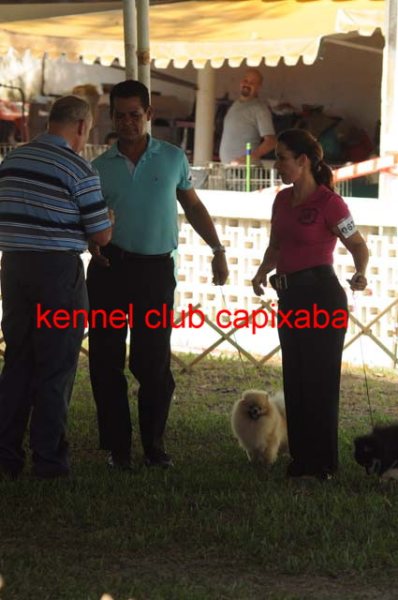 Clique sobre a foto para fechar